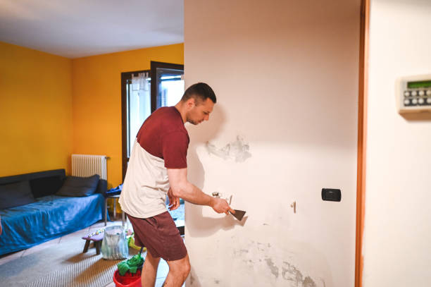 Best Insurance-Related Mold Remediation in New Sarpy, LA