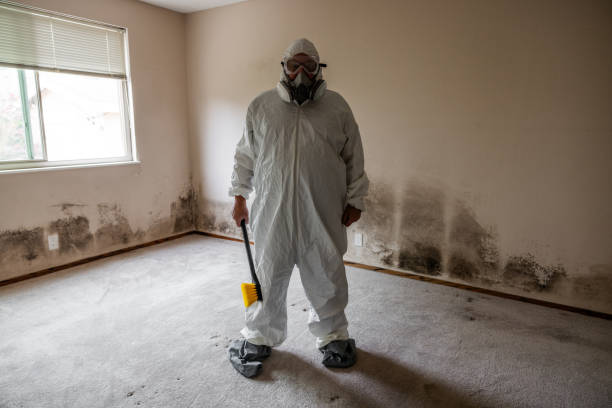 Best Bathroom Mold Remediation in New Sarpy, LA